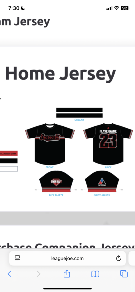 BallBusters Official Jersey