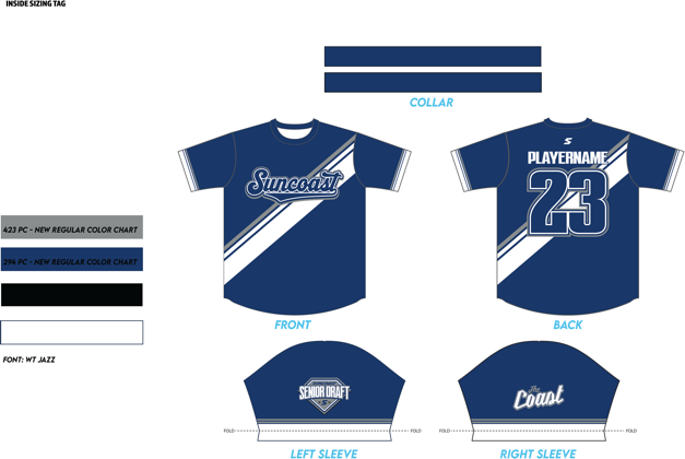 Paid to Play II Official Jersey